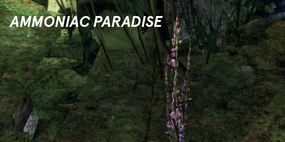 Ammoniac Paradise