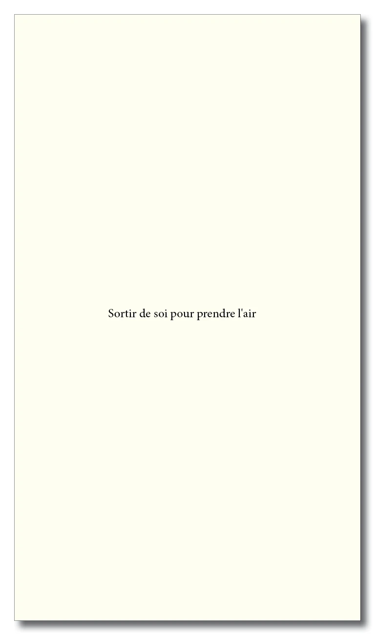 M&eacute;moire Luka Merlet