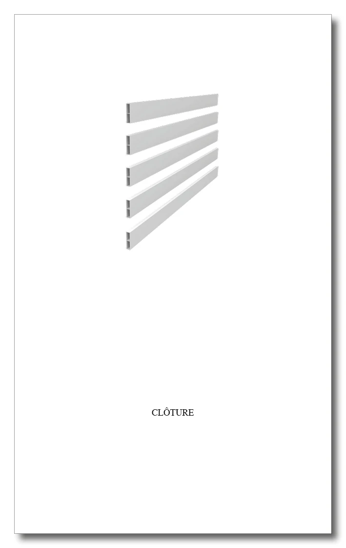 M&eacute;moire Manon Tardy